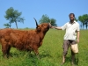 Zvířatka na farmě