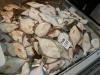 platyzi