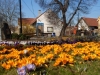 Máslovice