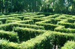Labyrint na zámku Loučeň