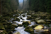 Výlet
