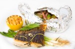 Obrázek kapra k příspěvku Recept:Grilovane filety z kapra marinovane v limetove stave se salveji
