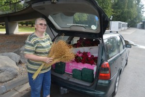 Paní veze růže z veletrhu Flora Olomouc  nemocným dětem
