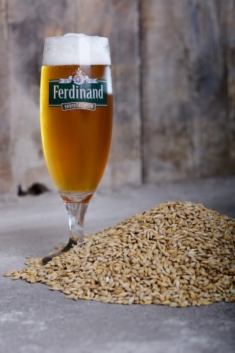 Pivo Ferdinand ve skle