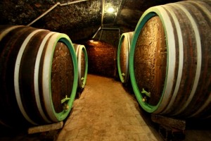 sudy ve viném sklípku zámeckého vinařství v Bzenci