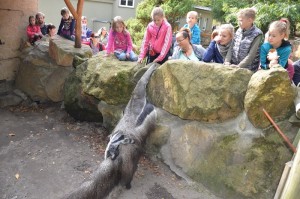 ZOO Děčín