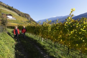 Podzim v Jižním Tyrolsku II.