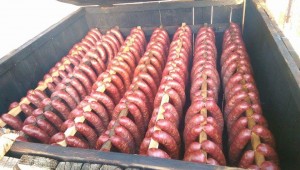 Mici a klobaskovani