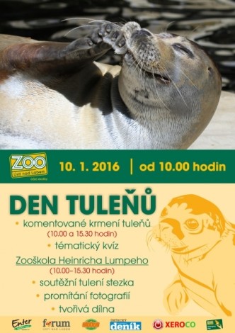 Plakát zvoucí na den tuleňů v ZOO Ústí nad Labem