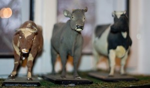 Expozice muzea másla v Máslovicích