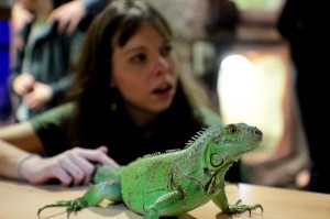 Pavilon Tropy Zoo Jihlava