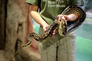 Pavilon Tropy Zoo Jihlava