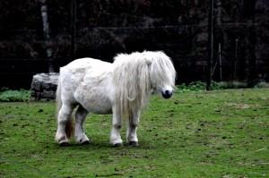 ZOO Liberec