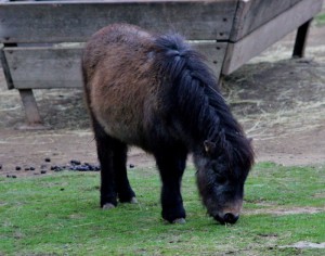 ZOO Liberec