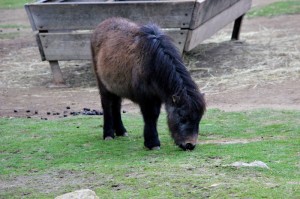 ZOO Liberec