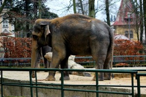 ZOO Liberec