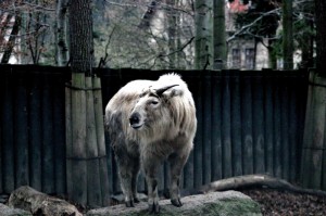 ZOO Liberec