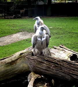 Zoo Ústí nad Labem