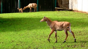 Zoo Ústí nad Labem