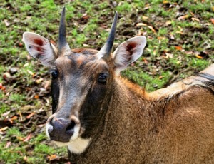 Zoo Ústí nad Labem