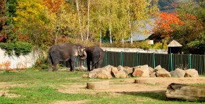 Zoo Ústí nad Labem