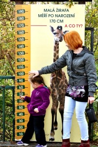 Zoo Ústí nad Labem