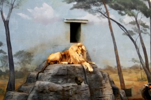 Zoo Ústí nad Labem