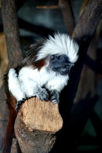 Zoo Ústí nad Labem