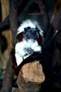 Zoo Ústí nad Labem