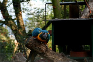 Zoo Ústí nad Labem