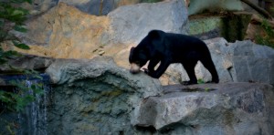 Zoo Ústí nad Labem